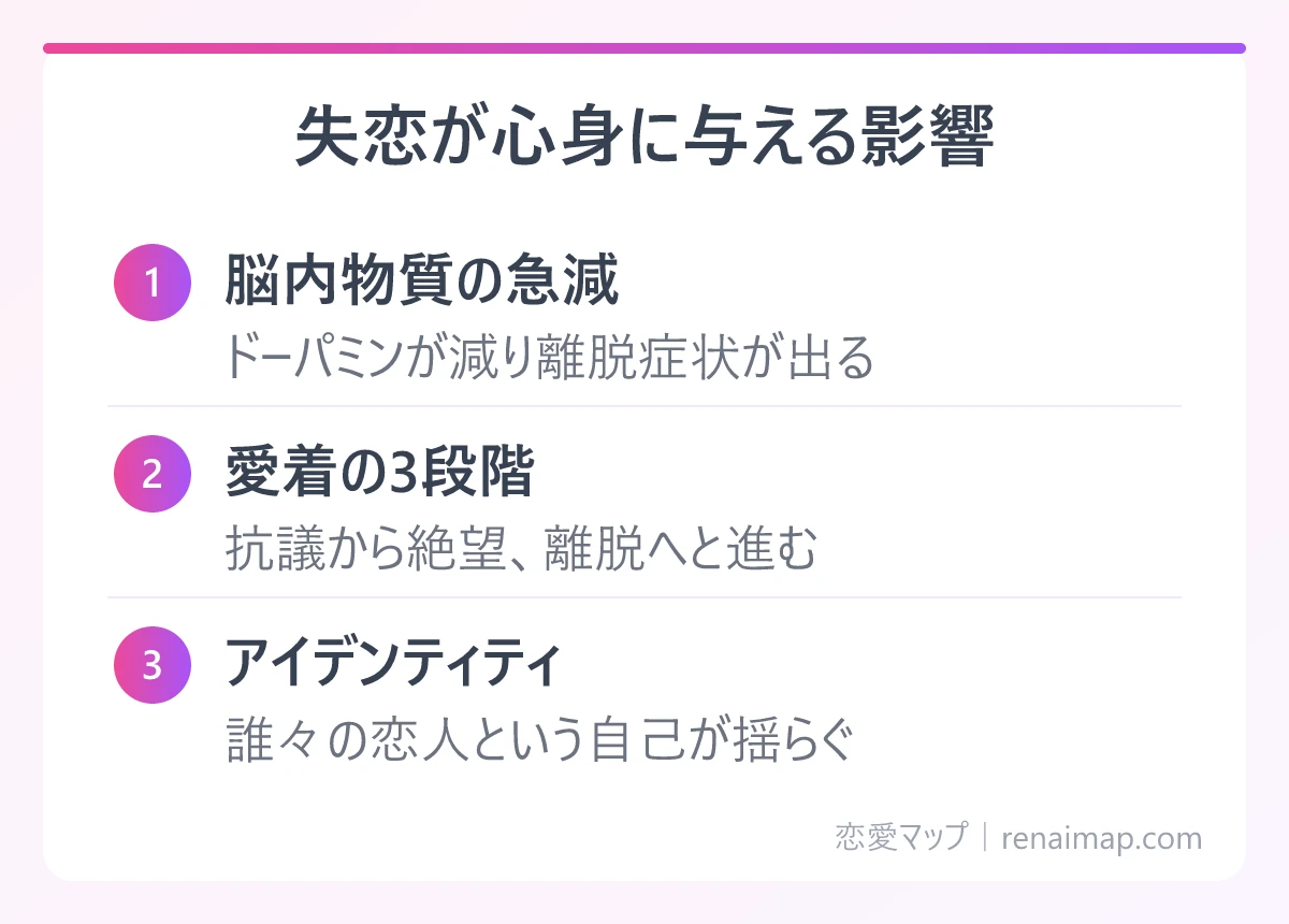 失恋が心身に与える影響(脳内物質の急減、愛着の3段階、アイデンティティ)の図解